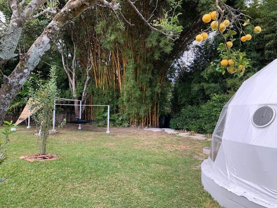 Dome In The Heart Of Boquete. Apartment Exterior foto