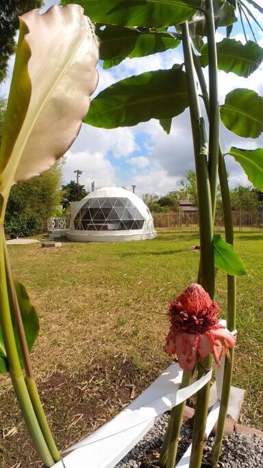 Dome In The Heart Of Boquete. Apartment Exterior foto